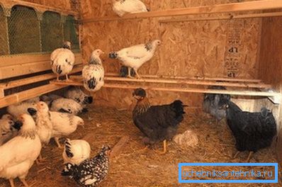 Природний варіант підходить для невеликих приміщень Природний варіант підходить для невеликих приміщень