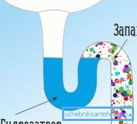 Гідрозатвор не дозволяє каналізаційним випаровуванням отруювати повітря в приміщенні. Гідрозатвор не дозволяє каналізаційним випаровуванням отруювати повітря в приміщенні.