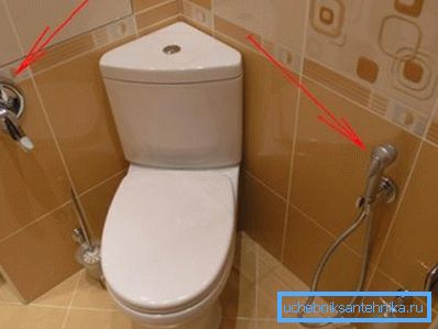Гігієнічний тип душа. Гігієнічний тип душа.