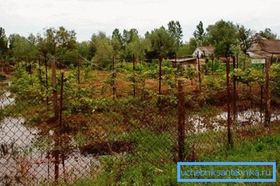 1209 На глинистому ділянці після дощів стоїть вода