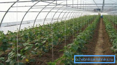 Використовувана система обігріву вибирається виходячи з площі агротехнічного споруди Використовувана система обігріву вибирається виходячи з площі агротехнічного споруди