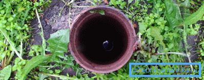 Джерело чистої води на дачній ділянці Джерело чистої води на дачній ділянці