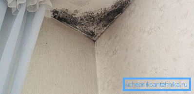 Через погану вентиляцію заводиться цвіль Через погану вентиляцію заводиться цвіль
