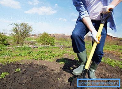 1153 Місце для вигрібної ями вибрали в городі
