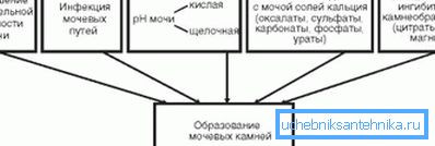 На фото показані причини виникнення сечового каменя На фото показані причини виникнення сечового каменя
