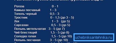 Наявність рослин підкаже глибину залягання водоносного шару Наявність рослин підкаже глибину залягання водоносного шару