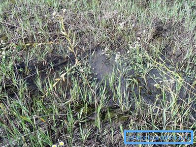 1200 Грунт не вбирає воду