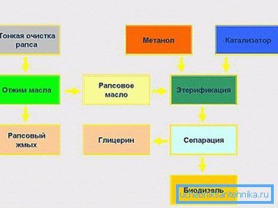Отримання біодизеля з ріпаку. Отримання біодизеля з ріпаку.