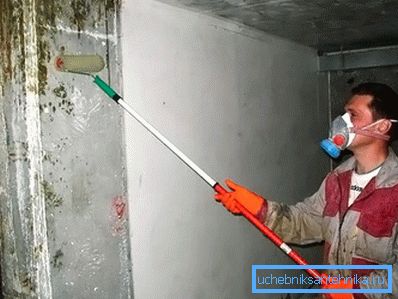 Причини появи появи і прихована небезпека цвілі Причини появи появи і прихована небезпека цвілі
