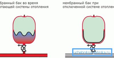 Принцип дії мембрани Принцип дії мембрани