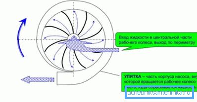 Принцип роботи відцентрових насосів. Принцип роботи відцентрових насосів.