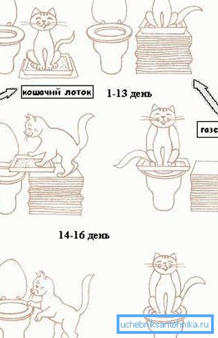 Схема формування досвіду Схема формування досвіду