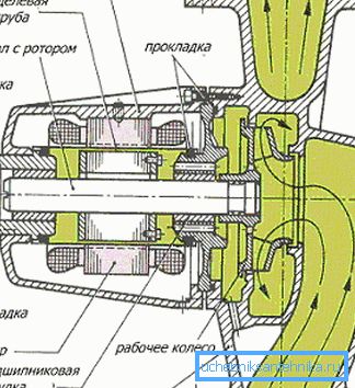 Схема насоса з мокрим ротором Схема насоса з мокрим ротором