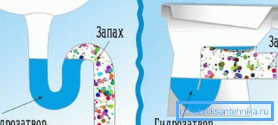 Схема роботи гідрозатвори під мийкою і унітазом Схема роботи гідрозатвори під мийкою і унітазом