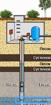 Свердловина песчанка. Свердловина песчанка.