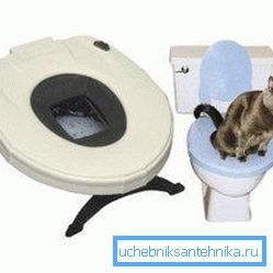 Спеціальне сидіння на унітаз Спеціальне сидіння на унітаз