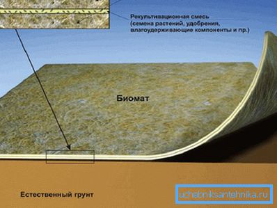 1207 структура Біомат