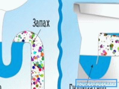 Так виглядають гідрозатвори в раковині і унітазі Так виглядають гідрозатвори в раковині і унітазі