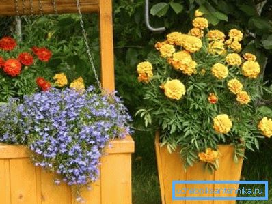 Квіткова клумба у колодязі Квіткова клумба у колодязі