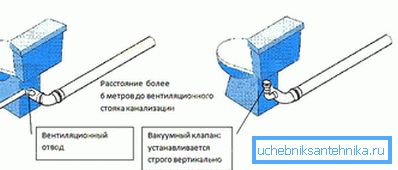 різновиди різновиди