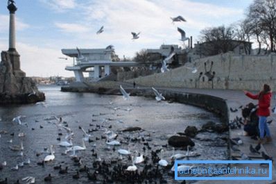 Зима в Севастополі не відрізняється суворістю. Зима в Севастополі не відрізняється суворістю.